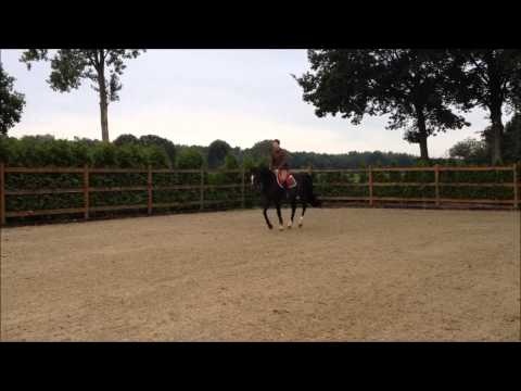 diarado x rubinstein