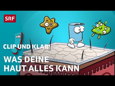 Was kann deine Haut? | SRF Kids – Clip und klar! | Für Kinder erklärt