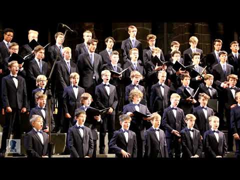 Windsbacher Knabenchor (Martin Lehmann) | "Os justi" Anton Bruckner | 500. Lorenzer Motette (2018)