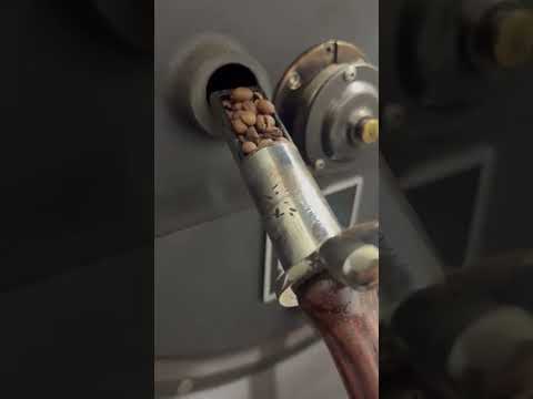 Probat Werke D12 P250602135