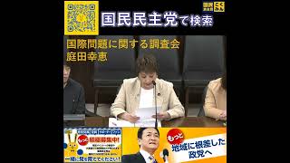 国民民主党 庭田ゆきえ国際問題に関する調査会 6月12日