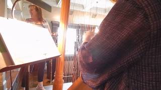 The Water is Wide - Solo Harp