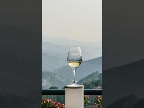 Verkostungsvideo: Monologo Arinto 2024 – Quinta de Santa Teresa