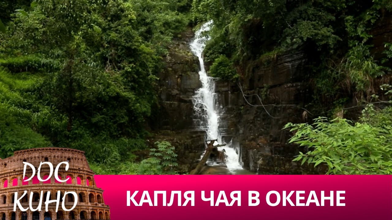 🎭КАПЛЯ ЧАЯ В ОКЕАНЕ🌎 ДОКУМЕНТАЛЬНОЕ КИНО 🎆 2016