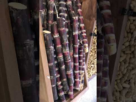 Mga pagkain sa Pilipinas na matatag puan din dito sa America (tubo at ice Candy)