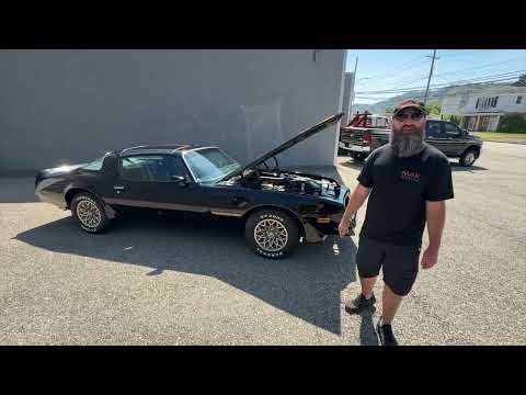 1978 Pontiac Firebird Trans Am (CC-2079771) for sale in Pittsburgh, Pennsylvania