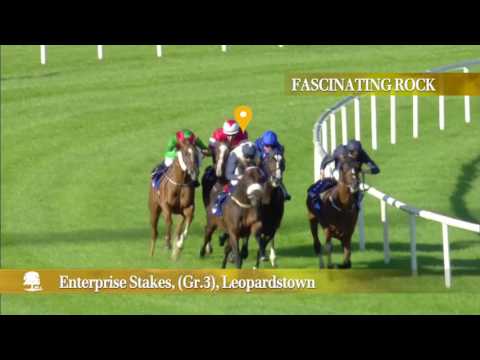 FASCINATING ROCK 2017