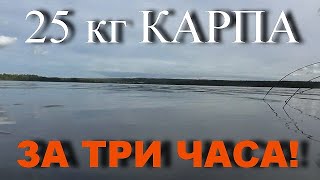 Платная рыбалка карпы