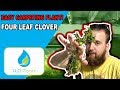Dwarf Four Leaf Clover Aquarium Plant