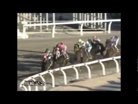 G1 KAWASAKI KINEN 2013 AT YARIŞI (HATANO VAINQUEUR KAZANDI)