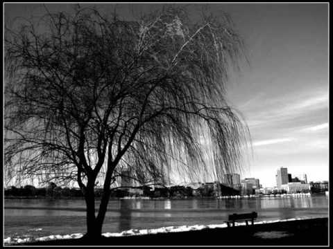 DJ Shah meets Jan Johnston - Beautiful (DJ Shah's Highnoon at Salinas Remix)