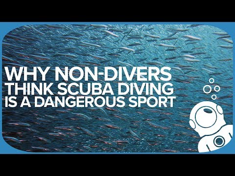 Why Non-Divers Think Scuba Diving is A Dangerous Sport