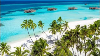 Видео об отеле   Gili Lankanfushi, 0