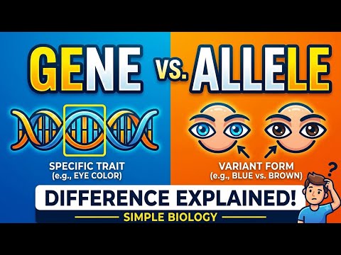 DIFFERENCE BETWEEN GENE AND ALLELE - Basic Concept | NEET Biology | LakshyaMarch Begusarai