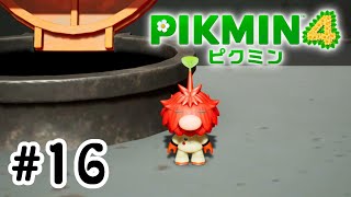 【ピクミン4】オリマー見つけたぞ！#16