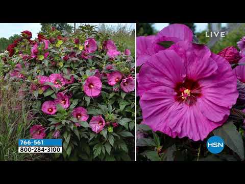 HSN | Outdoor Living 05.02.2021 - 07 AM