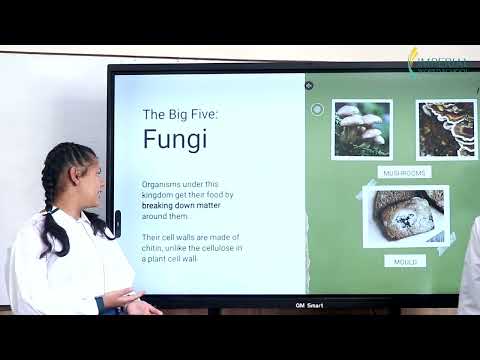 𝐔𝐧𝐝𝐞𝐫𝐬𝐭𝐚𝐧𝐝𝐢𝐧𝐠 𝐭𝐡𝐞 𝐂𝐥𝐚𝐬𝐬𝐢𝐟𝐢𝐜𝐚𝐭𝐢𝐨𝐧 𝐨𝐟 𝐋𝐢𝐯𝐢𝐧𝐠 𝐓𝐡𝐢𝐧𝐠𝐬 | 𝐓𝐡𝐞 𝐁𝐢𝐠 𝐅𝐢𝐯𝐞 𝐊𝐢𝐧𝐠𝐝𝐨𝐦𝐬 𝐄𝐱𝐩𝐥𝐚𝐢𝐧𝐞𝐝 𝐛𝐲 𝐒𝐭𝐮𝐝𝐞𝐧𝐭𝐬| 𝐈𝐖𝐒