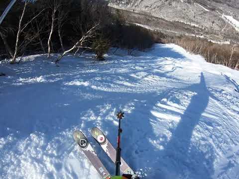 Taking a Run - National - Stowe (2021)