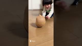 子供とアルマジロ　その２(sora2生成動画）