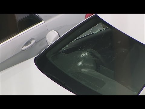 'Suspected firearm' found in car after fatal police shooting