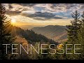 THE SHADOWS Tennessee waltz