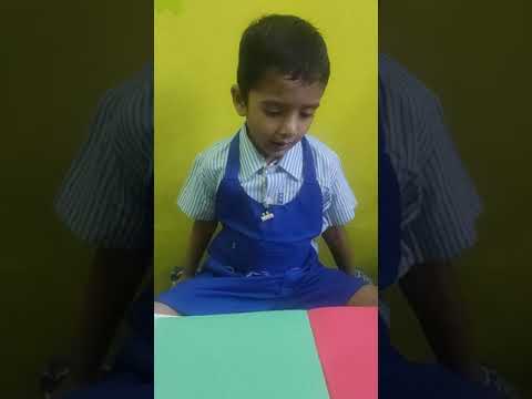 ART AND CRAFT PROJECT (summer fruits)