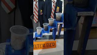 Water Filtration System #project #science #diy