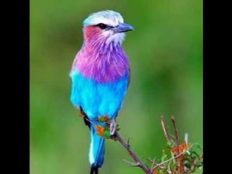 My Friend's Awkward Ending to a Good Song!