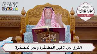 [1153] الفرق بين الخيل المُضمَّرة وغير المُضمَّرة - عثمان الخميس