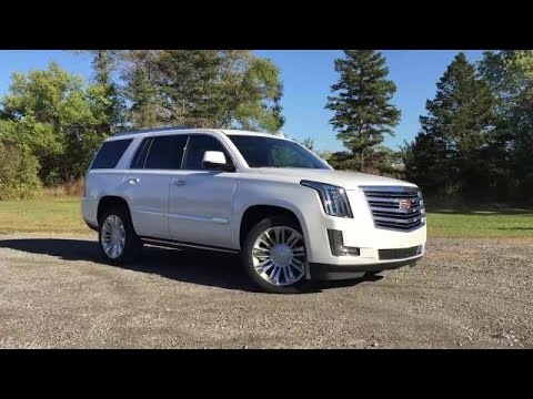 2016 Cadillac Escalade Platinum | Daily Driver