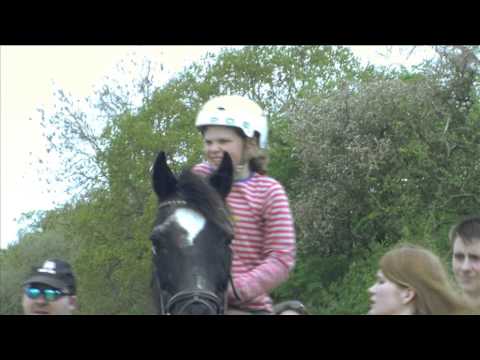 Centaurus Advert #1 - Wootton Park Farm