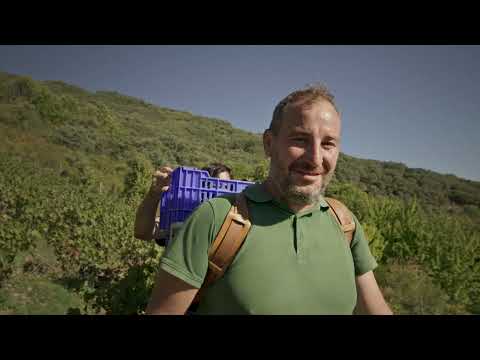 La Faraona 2023 de la bodega Descendientes de J  Palacios