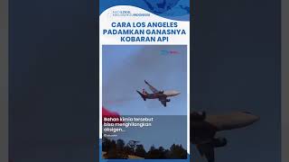 Cairan Kimia Merah Muda Jinakan Ganasnya Kobaran Api Los Angeles, Disiramkan Lewat Jalur Udara