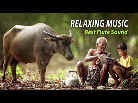Sleep Music 6 hours, Relaxing Music, Healing Music, Sleep Meditation, Khmer Flute Sound