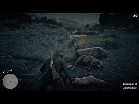 Red Dead Redemtion 2 Fell eines legendären Kojoten