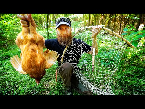 Primitive Skills: Build Chicken Trap in Forest, Cook in Dirt Hole with Primitive Technology