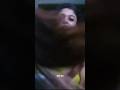 Nayanthara Hot In Saree Agen Movie Nayanthara Navel Hot