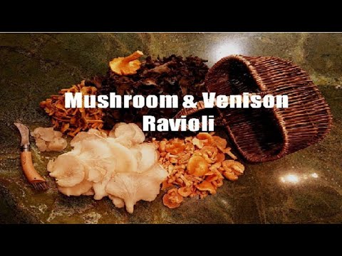 download lagu mp3 mp4 Foraging Sonoma County, download lagu Foraging Sonoma County gratis, unduh video klip Foraging Sonoma County