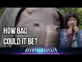 Okja Review: How Bad Could it Be?