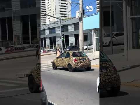 EL AUTO FASHIONISTA