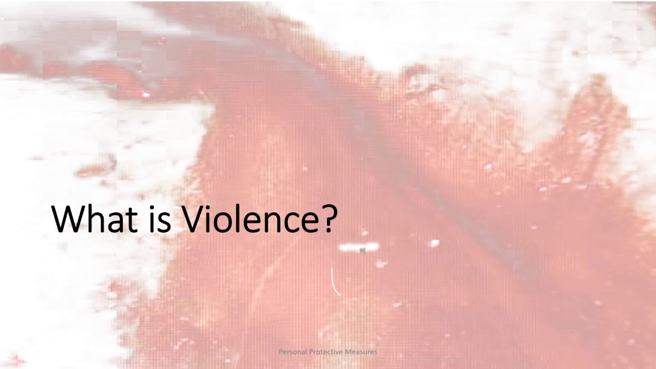 PPM - "Module Zero" - Understanding Real World Violence