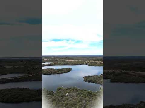 Cola del Embalse "Saladillo", San Luis, Argentina