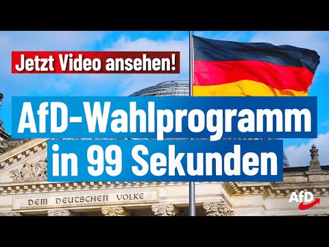 Das AfD-Programm zur Bundestagswahl 2021!