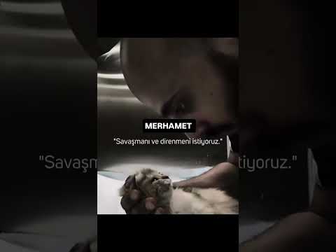 Merhamet #cats #cumartesi #kedi #katze #gato #asmr #बिल्ली #猫 #dua #destek #keşfet #merhamet