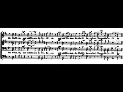 Franz Schubert: Liebe and Die Nacht Thumbnail