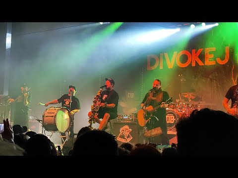 Divokej Bill: Temný král - akusticky (Šumperk, 21. 3. 2025)