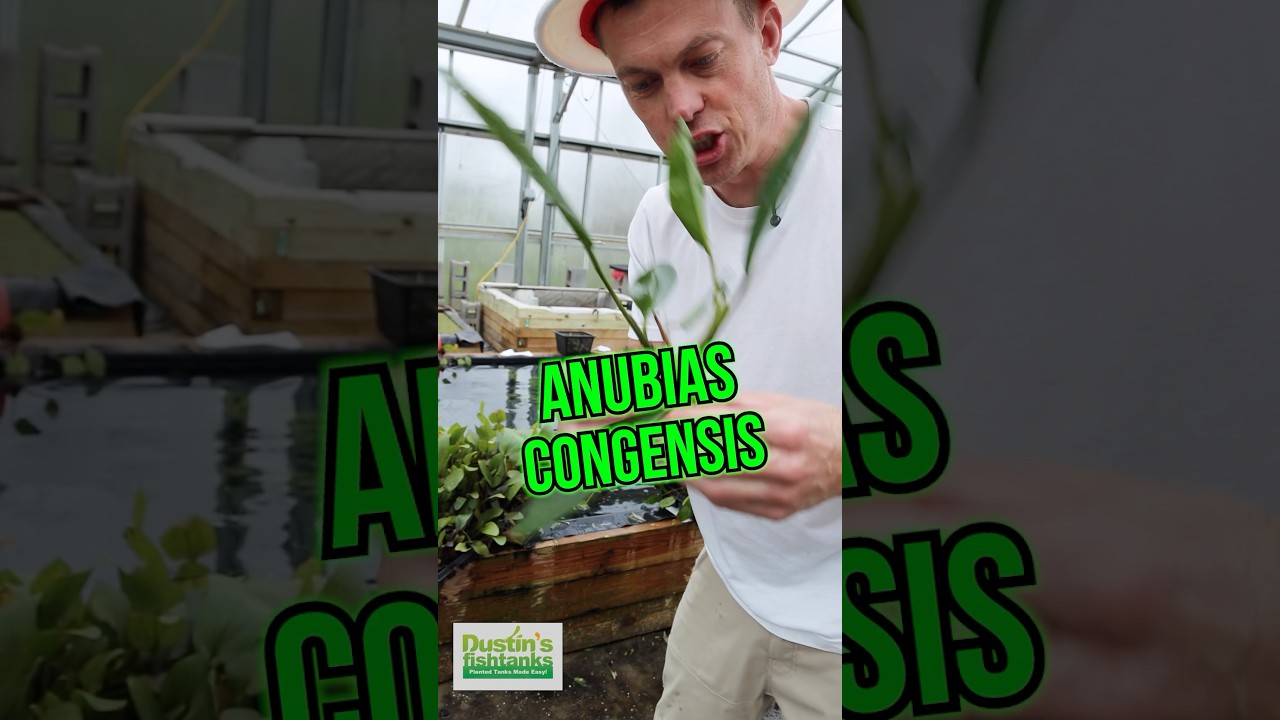 Video thumbnail for Can We Talk About This?