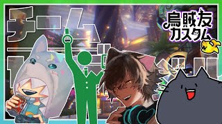 烏賊友カスタム【ガチホコ編】
