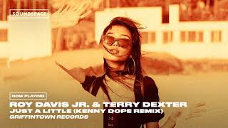 Roy Davis Jr. &amp; Terry Dexter - Just A Little Bit of Love 2019 (Kenny Dope Remix)