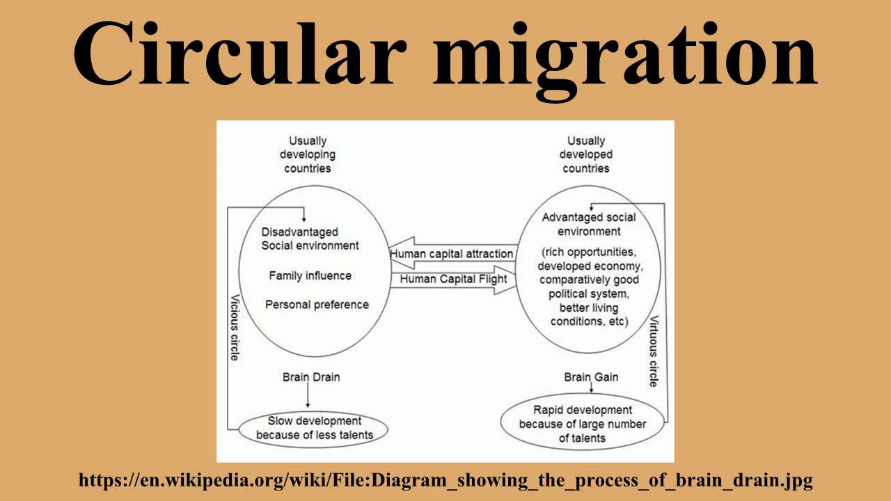 Circular migration